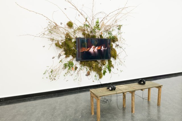 Echo Lilium & Echomorphia