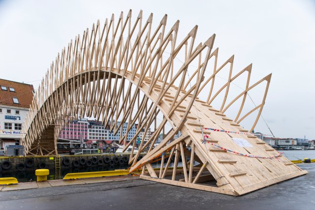 Experimental Wooden Structures