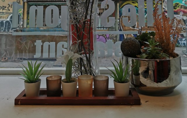 Flower pots lined up in a window