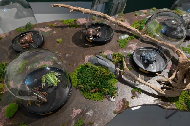 An alternative to Death