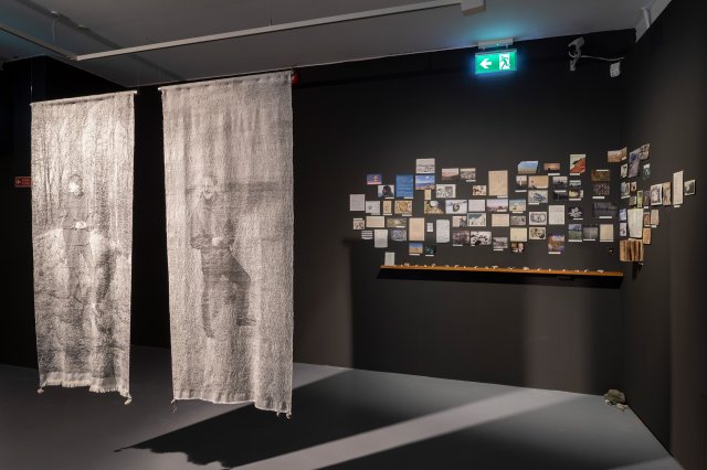 The strange adventures of a pebble