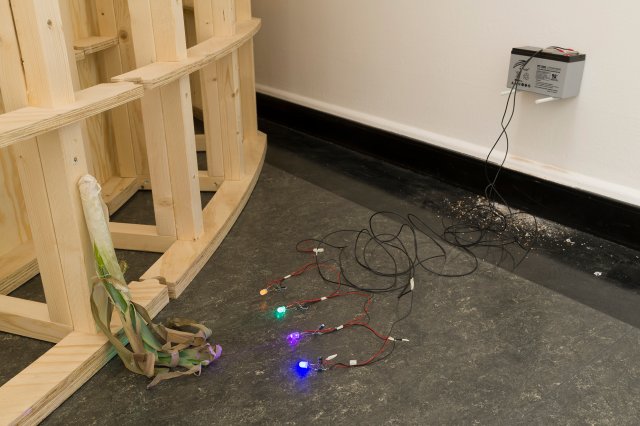 Ticklings/Witnessing a yawn or sexual activity