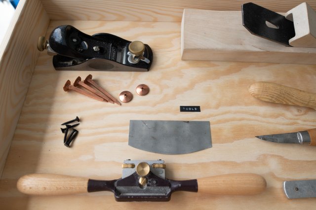 Cabinet of Coastal Curiosities