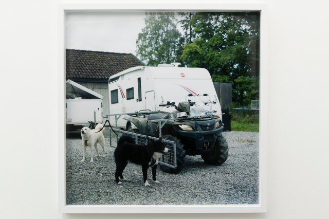 Når viltet er skutt (When the game is shot)