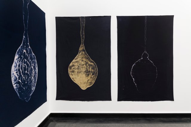 Lodd (Skjule og beskytte; Søvnens lekkasjer; Anima mundi; Anamnesis; Hvile)