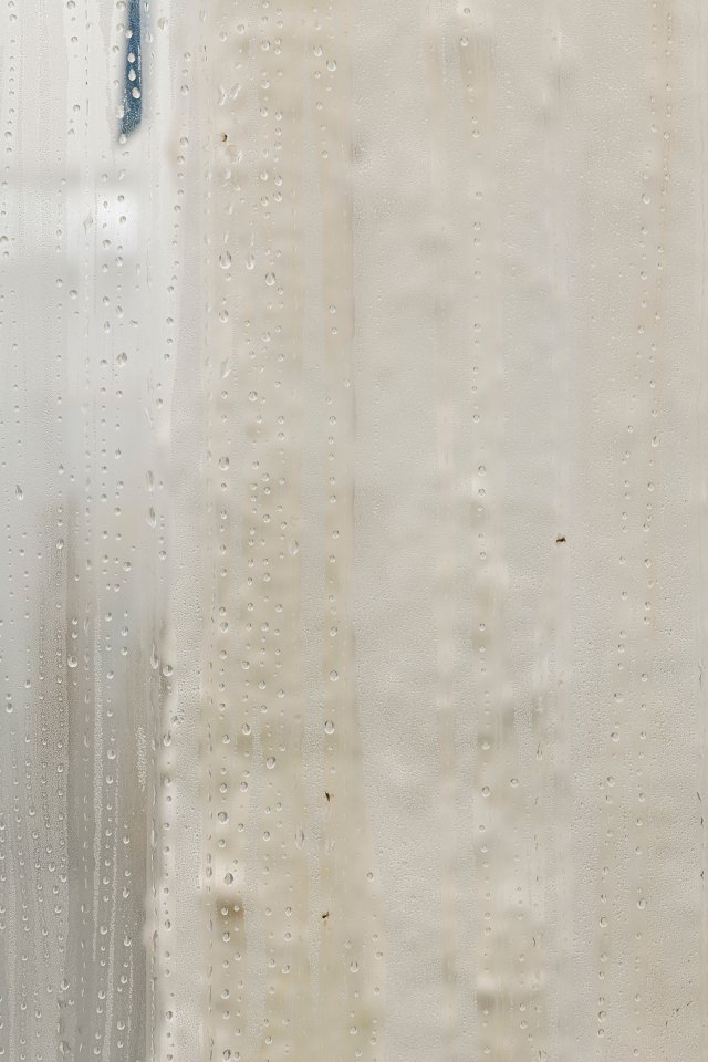 The Slow Decay of Wood