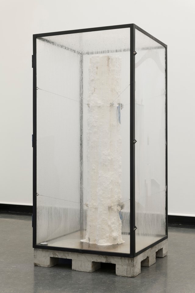 The Slow Decay of Wood