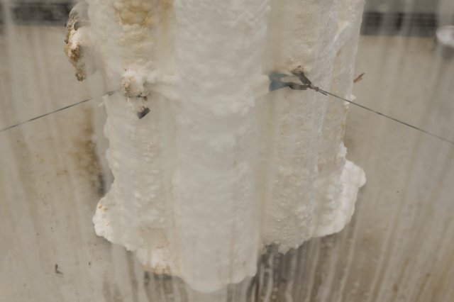 The Slow Decay of Wood