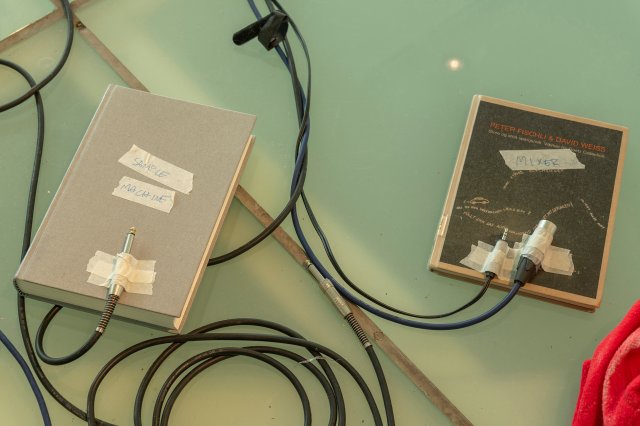 Ticklings/Witnessing a yawn or sexual activity