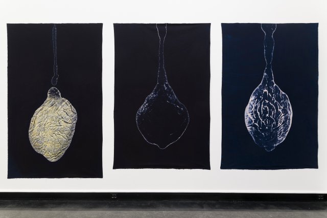 Lodd (Skjule og beskytte; Søvnens lekkasjer; Anima mundi; Anamnesis; Hvile)