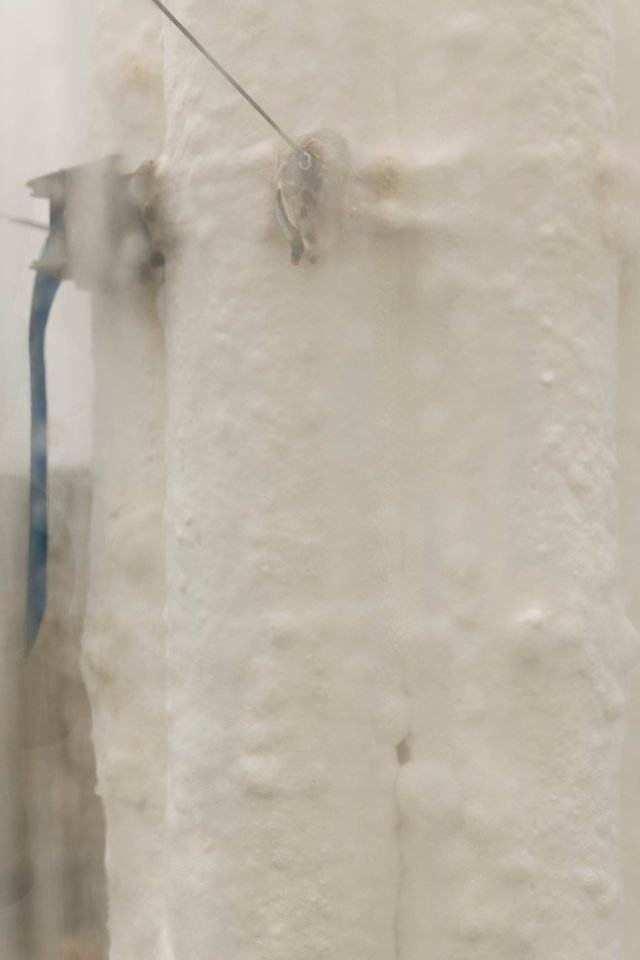 The Slow Decay of Wood