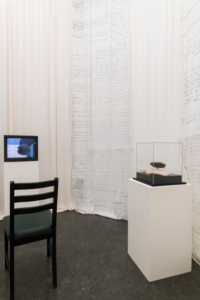 Solo exhibition by Nanna Erika curated by Karoline Strøm