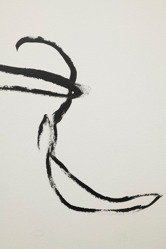 A line with a mind of its own