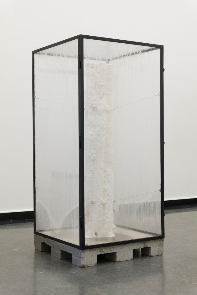 The Slow Decay of Wood