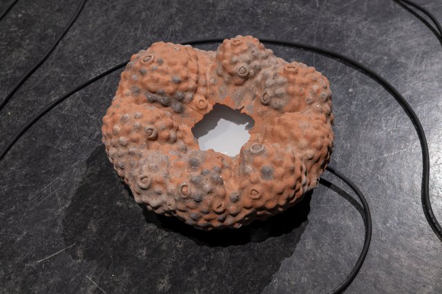 Det ulmer under overflaten (It Smolders Beneath the Surface)