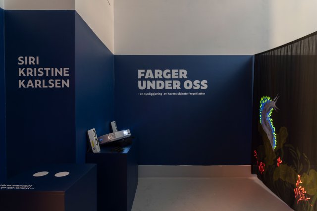 Fargene Under Oss